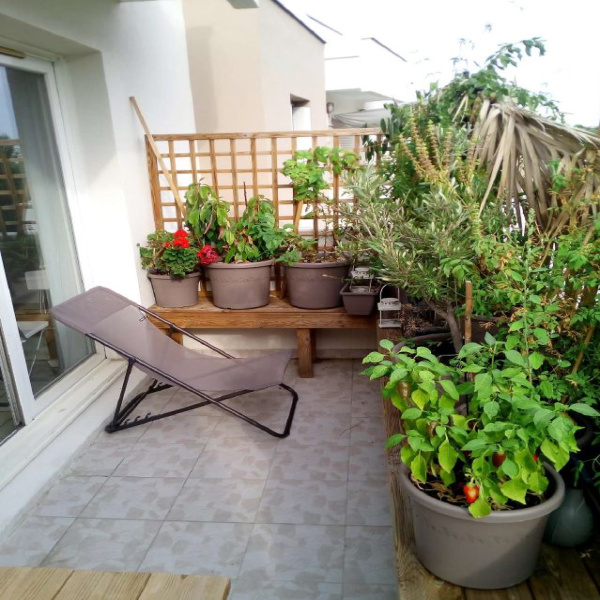 Offres de location Appartement Montpellier 34090
